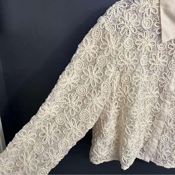 Zara Embroidered Lace Cropped Blouse - Picture 7 of 11